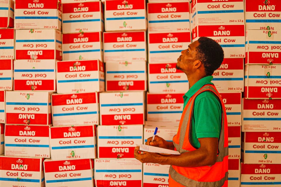 A warehouse worker examining stacked boxes labeled 'Dano Cool Cow'.